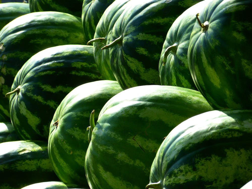 melons-water-melons-fruit-green-59830