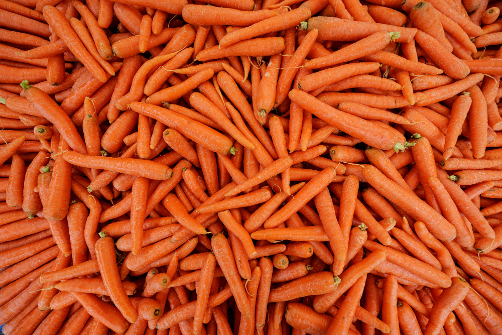 premium-fresh-organic-carrots