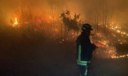 İtalya'da yangın! 4 bin 900 hektardan fazla alan kül oldu