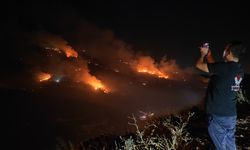 Hatay'daki orman yangınında 250 hektar zarar gördü