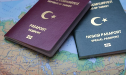 Pasaport ve vize türleri nelerdir?