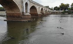 Meriç Nehri'nde kuraklık alarm veriyor