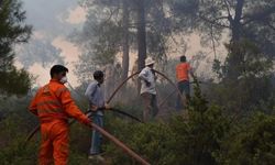 Yenişehir'deki orman yangını kontrol altında