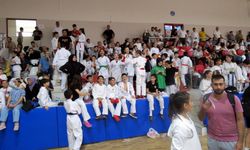Karateciler Mudanya'da yarıştı