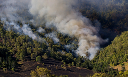 Orman yangınları, vatandaşlar üzerindeki etkisini yitirmiyor