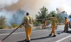 İzmir'de orman yangınına müdahale sürüyor