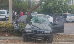 Kontrolden çıkan otomobil refüjdeki ağaca çarptı