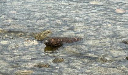 İznik Gölü'nde bulunan top mermisi imha edildi