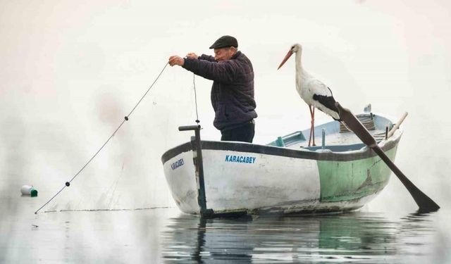 Yaren Leylek 13. kez Balıkçı Adem Amca’ya kavuştu