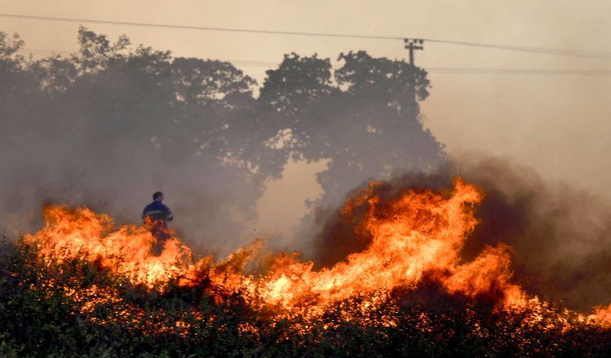 Yunanistan'ın Türkiye sınırında yangın sürüyor